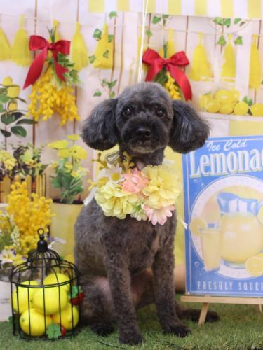 20240421ペコくん